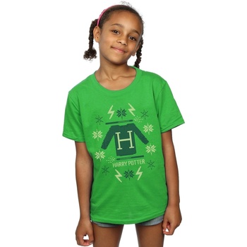 Vêtements Fille T-shirts manches longues Harry Potter Christmas Knit Vert
