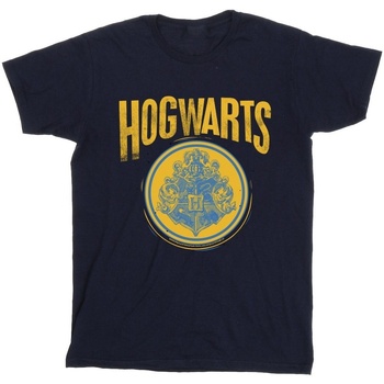 Vêtements Garçon T-shirts manches courtes Harry Potter Hogwarts Circle Crest Bleu