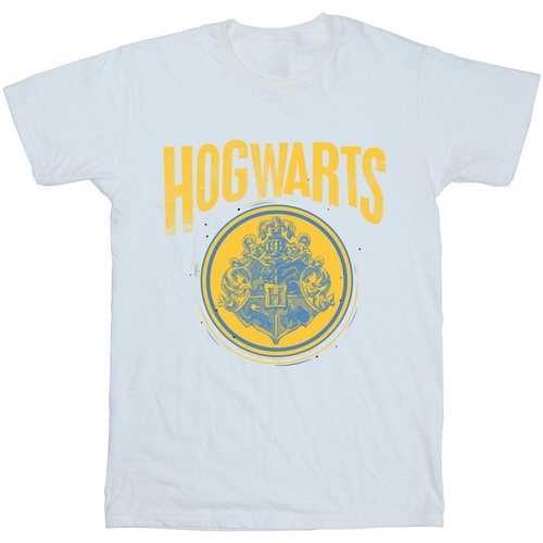 Vêtements Garçon Joggings & Survêtements Harry Potter Hogwarts Circle Crest Blanc