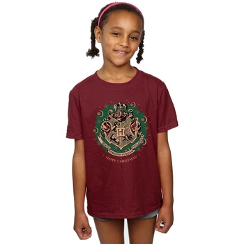 Vêtements Fille T-shirts manches longues Harry Potter Christmas Wreath Multicolore