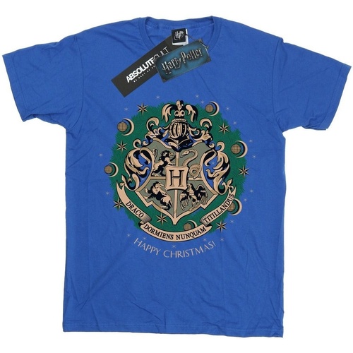 Vêtements Fille T-shirts manches longues Harry Potter Christmas Wreath Bleu