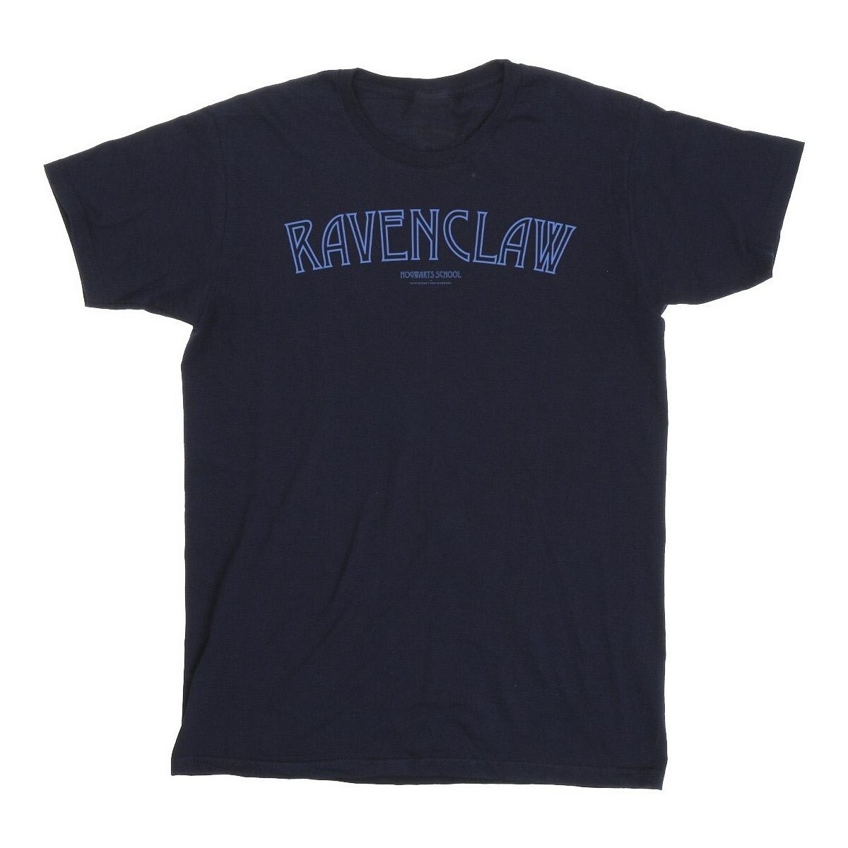 Vêtements Garçon T-shirts manches courtes Harry Potter Ravenclaw Logo Bleu
