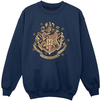 Vêtements Fille Sweats Harry Potter Gold Hogwart Crest Bleu