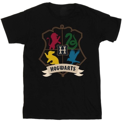 Vêtements Garçon T-shirts manches courtes Harry Potter Houses Crest Noir