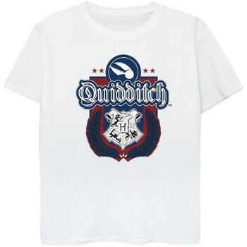 Vêtements Garçon T-shirts manches courtes Harry Potter Quidditch Crest Blanc