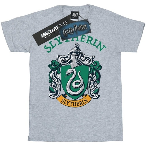 Vêtements Fille T-shirts manches longues Harry Potter Slytherin Crest Gris