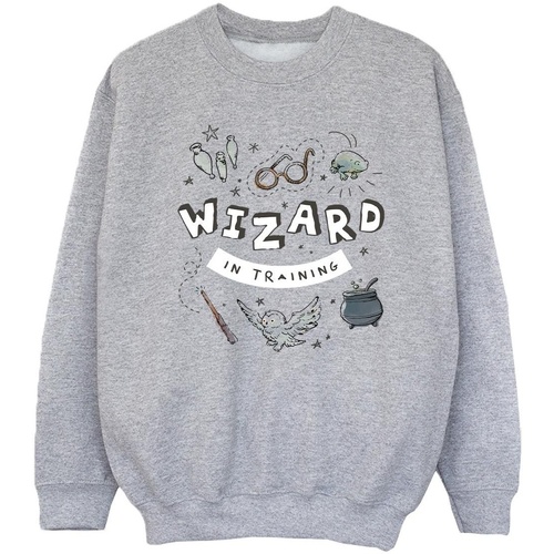 Vêtements Fille Sweats Harry Potter Wizard In Training Gris