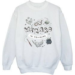Vêtements Fille Sweats Harry Potter Wizard In Training Blanc