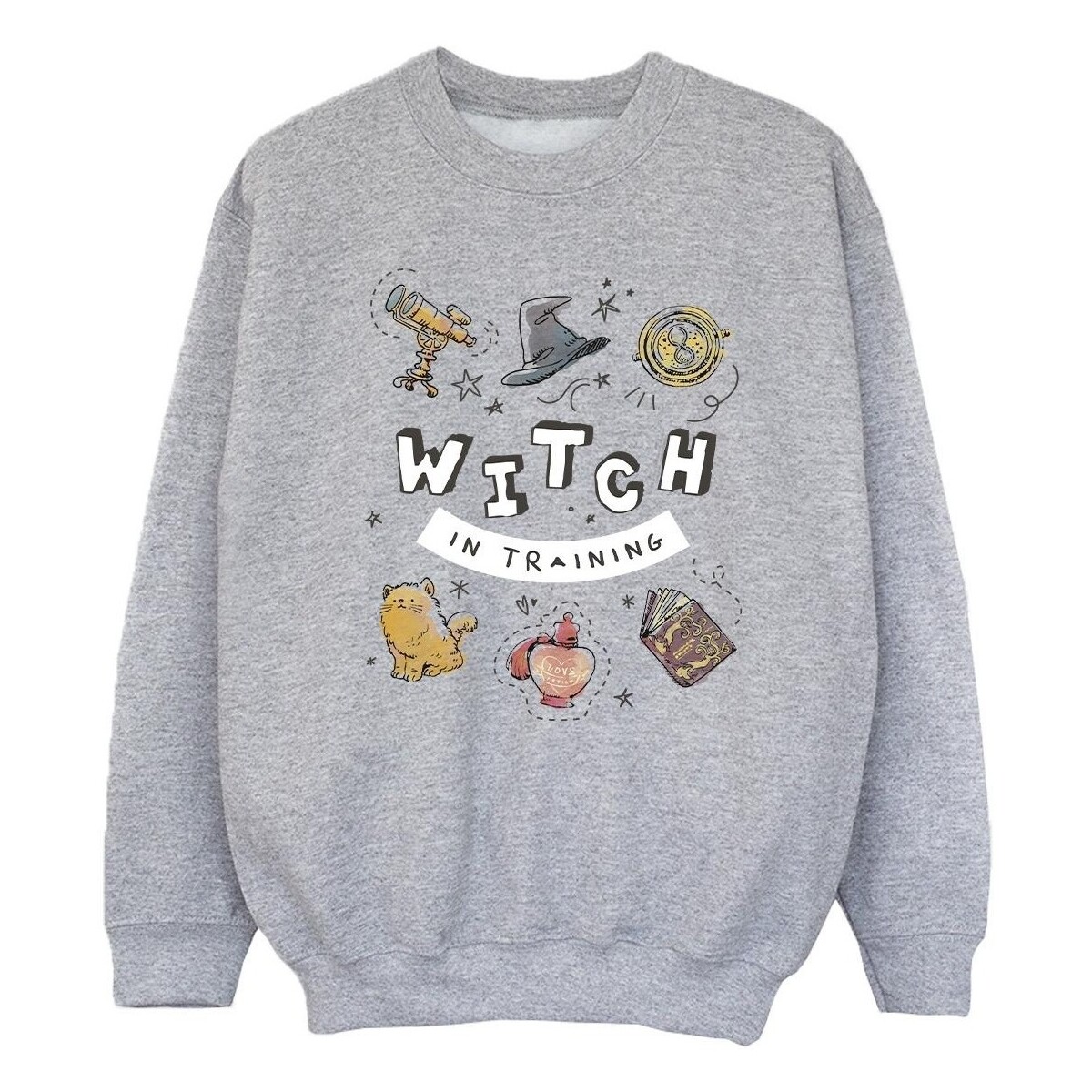 Vêtements Fille Sweats Harry Potter Witch In Training Gris
