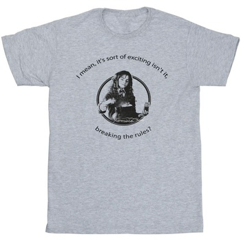 Vêtements Garçon T-shirts manches courtes Harry Potter  Gris
