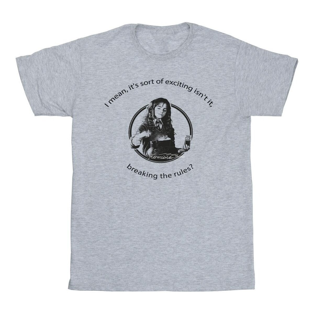 Vêtements Garçon T-shirts manches courtes Harry Potter Hermione Breaking The Rules Gris