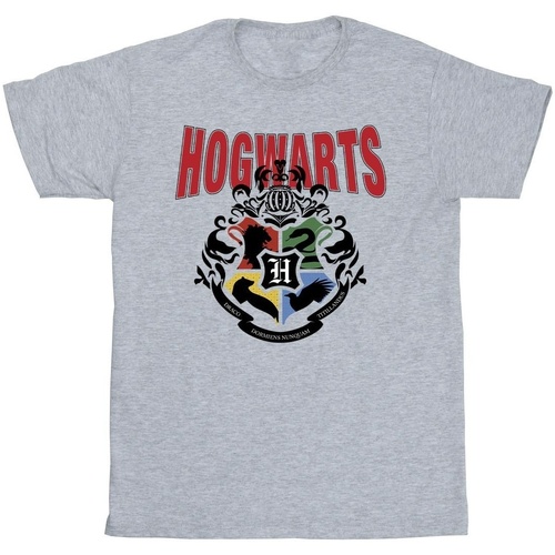 Vêtements Garçon Nouveautés de ce mois Harry Potter Hogwarts Emblem Gris