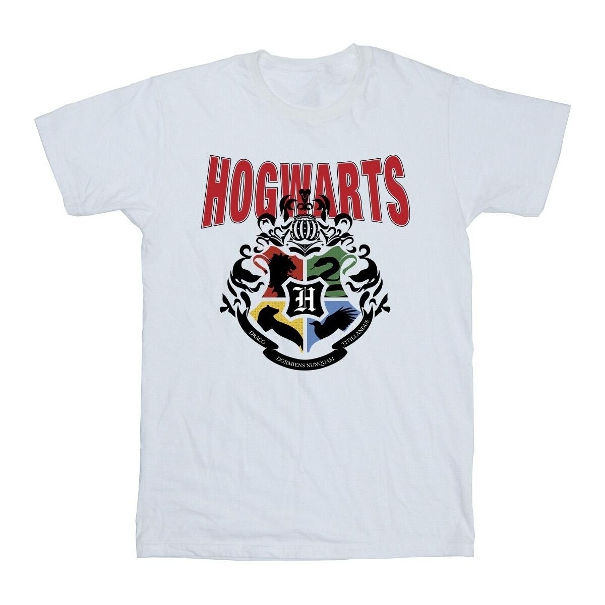 Vêtements Garçon T-shirts manches courtes Harry Potter Hogwarts Emblem Blanc