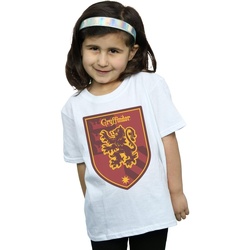 Vêtements Fille T-shirts manches longues Harry Potter Gryffindor Crest Flat Blanc