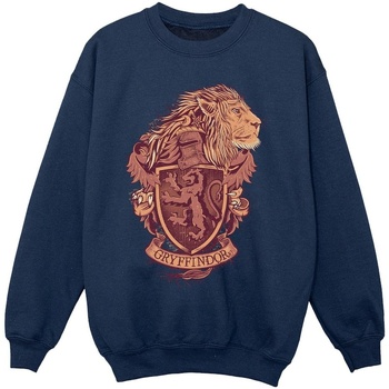 Vêtements Fille Sweats Harry Potter Gryffindor Sketch Crest Bleu