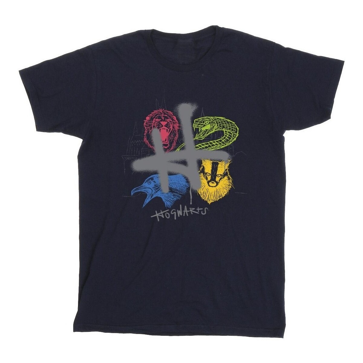 Vêtements Garçon T-shirts manches courtes Harry Potter Emblems H Spray Bleu
