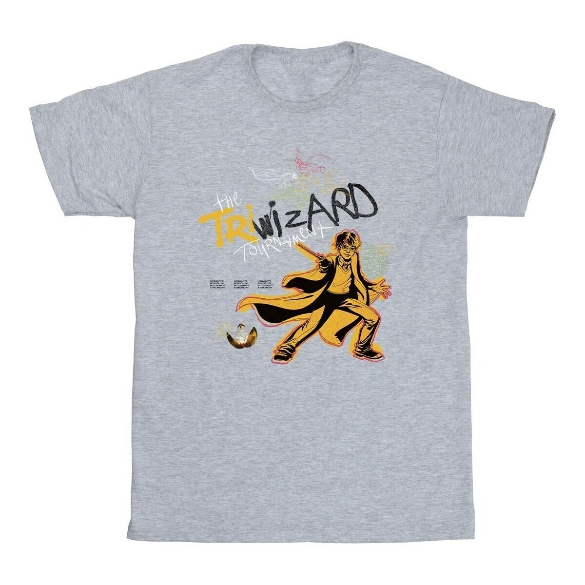Vêtements Garçon T-shirts manches courtes Harry Potter Triwizard Poster Gris