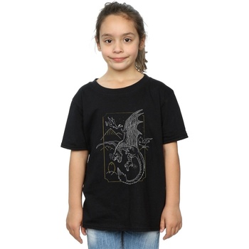 Vêtements Fille T-shirts manches longues Harry Potter Dragon Line Art Noir