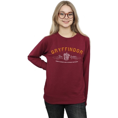 Vêtements Femme Sweats Harry Potter Gryffindor Team Quidditch Multicolore