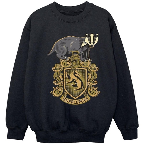 Vêtements Fille Sweats Harry Potter Hufflepuff Sketch Crest Noir