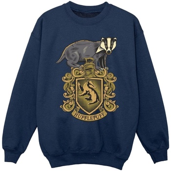Vêtements Fille Sweats Harry Potter Hufflepuff Sketch Crest Bleu