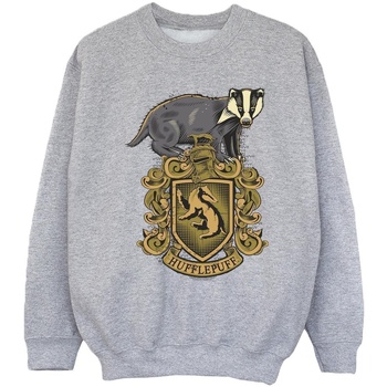 Vêtements Fille Sweats Harry Potter Hufflepuff Sketch Crest Gris