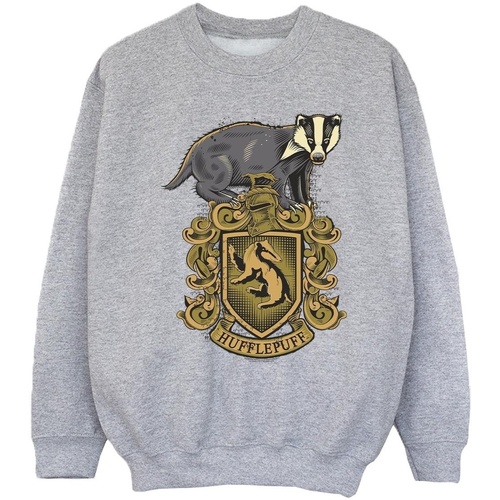 Vêtements Fille Sweats Harry Potter  Gris