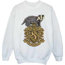 Vêtements Fille Sweats Harry Potter Hufflepuff Sketch Crest Blanc