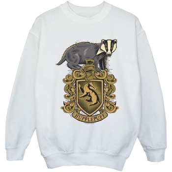 Vêtements Fille Sweats Harry Potter Slytherin Sport Emblem Blanc