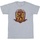 Vêtements Garçon T-shirts manches courtes Harry Potter Gryffindor Chest Badge Gris
