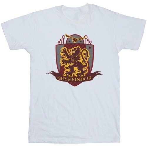 Vêtements Garçon T-shirts manches courtes Harry Potter Gryffindor Chest Badge Blanc