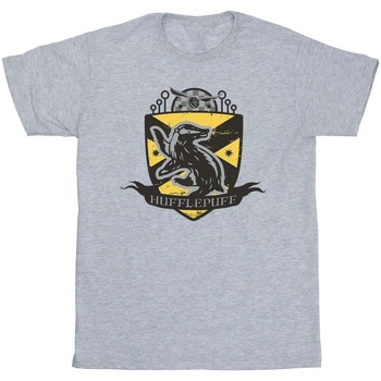 Vêtements Garçon T-shirts manches courtes Harry Potter Sélection à moins de 70 Gris