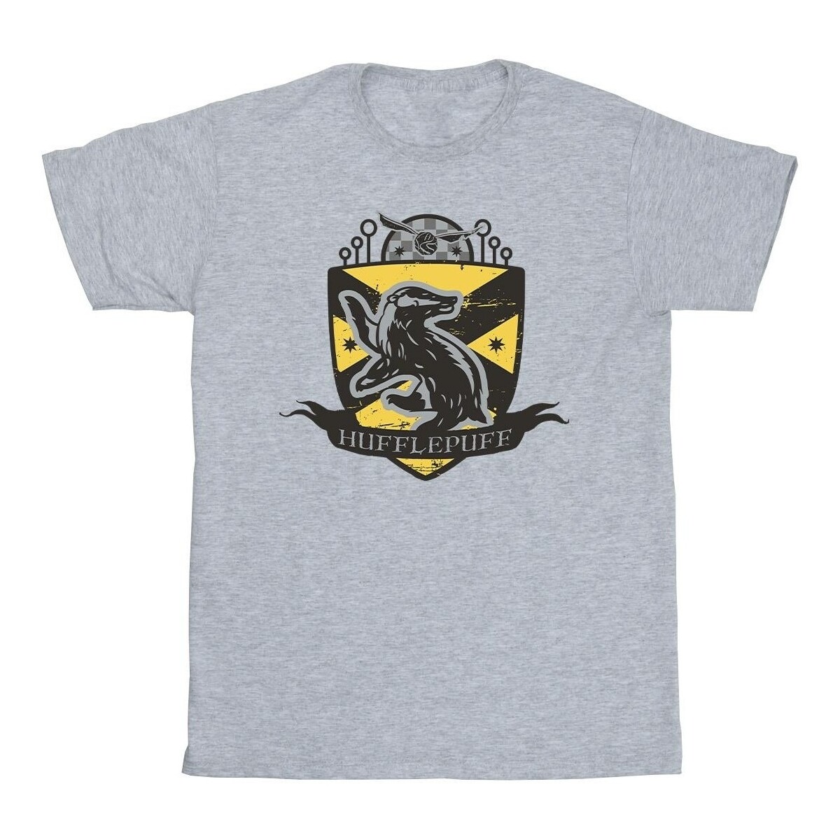Vêtements Garçon T-shirts manches courtes Harry Potter Hufflepuff Chest Badge Gris