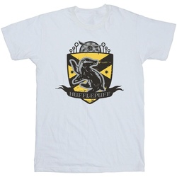 Vêtements Garçon T-shirts manches courtes Harry Potter Hufflepuff Chest Badge Blanc