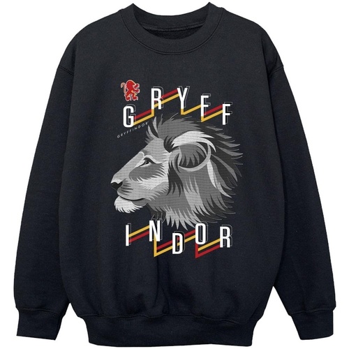 Vêtements Fille Sweats Harry Potter Gryffindor Lion Icon Noir