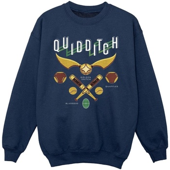 Vêtements Fille Sweats Harry Potter Quidditch Bludgers Quaffles Bleu