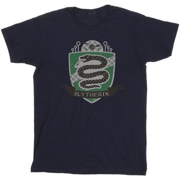 Vêtements Garçon T-shirts manches courtes Harry Potter Slytherin Chest Badge Bleu