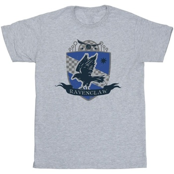 Vêtements Garçon T-shirts manches courtes Harry Potter Ravenclaw Chest Badge Gris