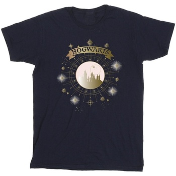 Vêtements Garçon T-shirts manches courtes Harry Potter Slytherin Sport Emblem Bleu
