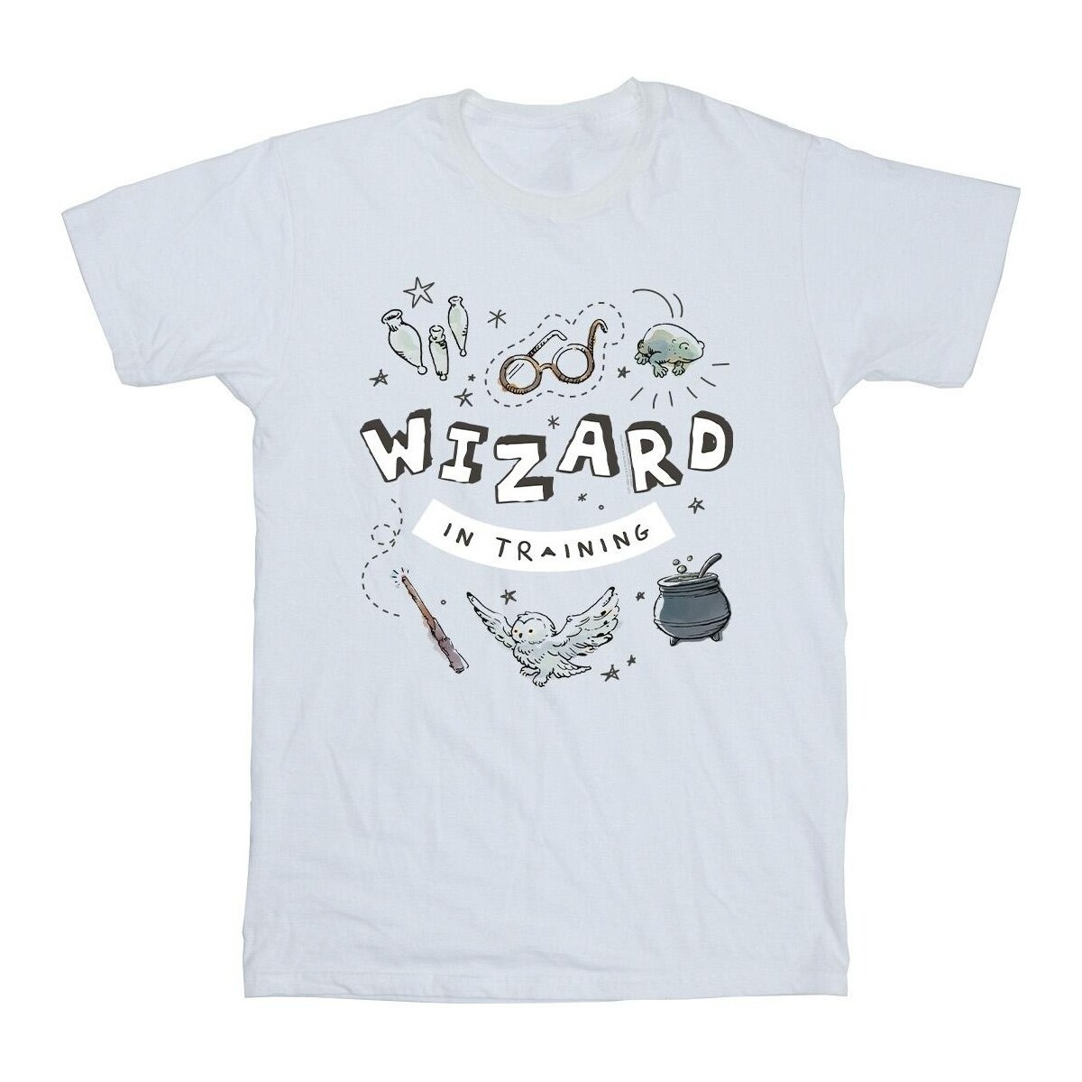 Vêtements Garçon T-shirts cotton manches courtes Harry Potter Wizard In Training Blanc