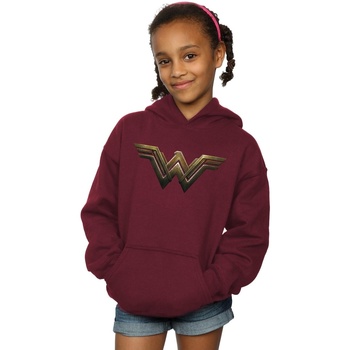 Vêtements Fille Sweats Dc Comics Wonder Woman Logo Multicolore