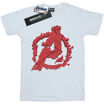 Vêtements Fille T-shirts manches longues Marvel Avengers Endgame Shattered Logo Blanc