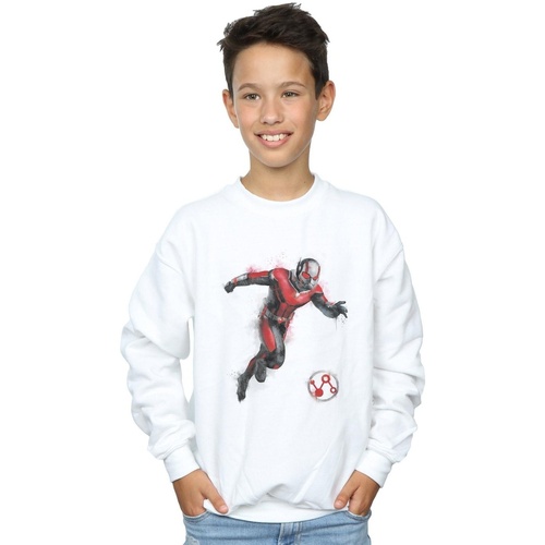 Vêtements Garçon Sweats Marvel Avengers Endgame Painted Ant-Man Blanc