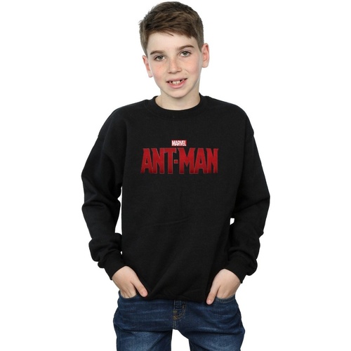 Vêtements Garçon Sweats Marvel Ant-Man Movie Logo Noir
