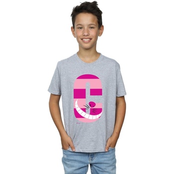 Vêtements Garçon T-shirts manches courtes Disney BI5825 Gris