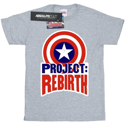 Vêtements Homme T-shirts manches longues Marvel Captain America Project Rebirth Gris