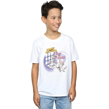 Vêtements Garçon T-shirts manches courtes Animaniacs Pinky And The Brain Take Over The World Blanc