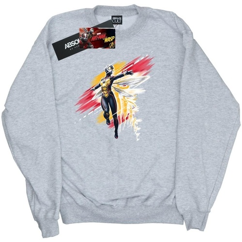 Vêtements Femme Sweats Marvel Ant-Man And The Wasp Hope Brushed Gris