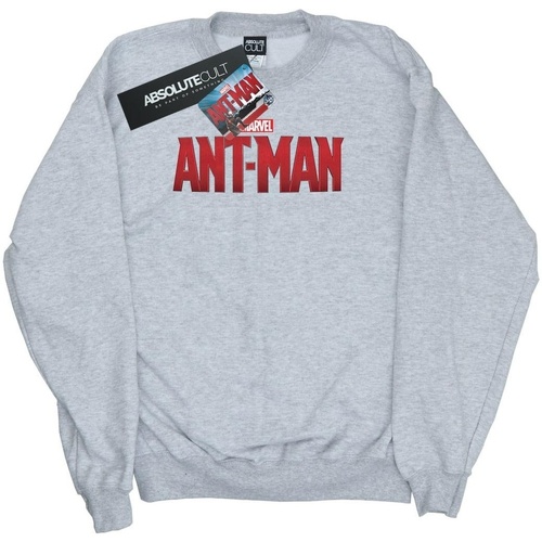 Vêtements Fille Sweats Marvel Ant-Man Movie Logo Gris