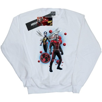 Vêtements Femme Sweats Marvel Ant-Man And The Wasp Particle Pose Blanc
